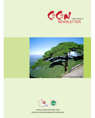 GGN Newsletter 2020 – Issue 3