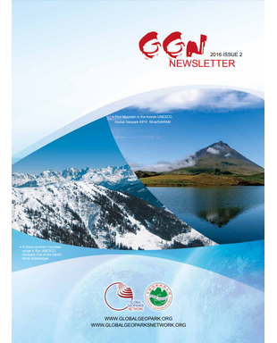 GGN Newsletter 2016 – Issue 2