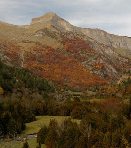 Geological Autumn 2017 in SOBRARBE-PIRINEOS GEOPARK